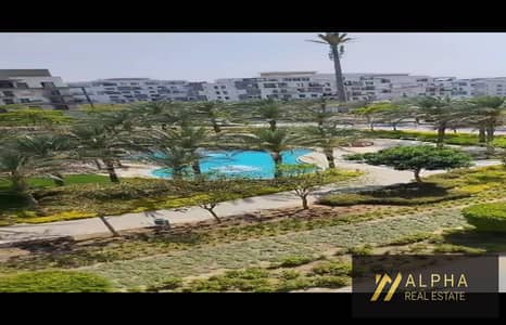 دوبلكس 4 غرف نوم للايجار في القاهرة الجديدة، القاهرة - WhatsApp Image 2026-08-30 at 3.24. 28 PM. jpg دوبلكس 4 غرف نوم للايجار في القاهرة الجديدة، القاهرة - WhatsApp Image 2026-08-30 at 3.24. 28 PM. jpg