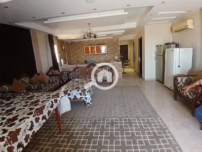 Studio for Rent in New Cairo, Cairo - 2026-08-30. png