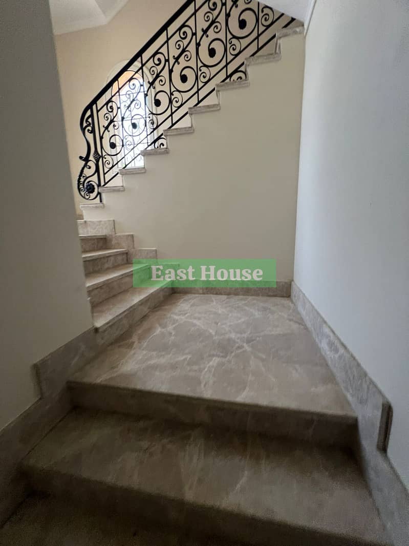 6 1001435465. jpg