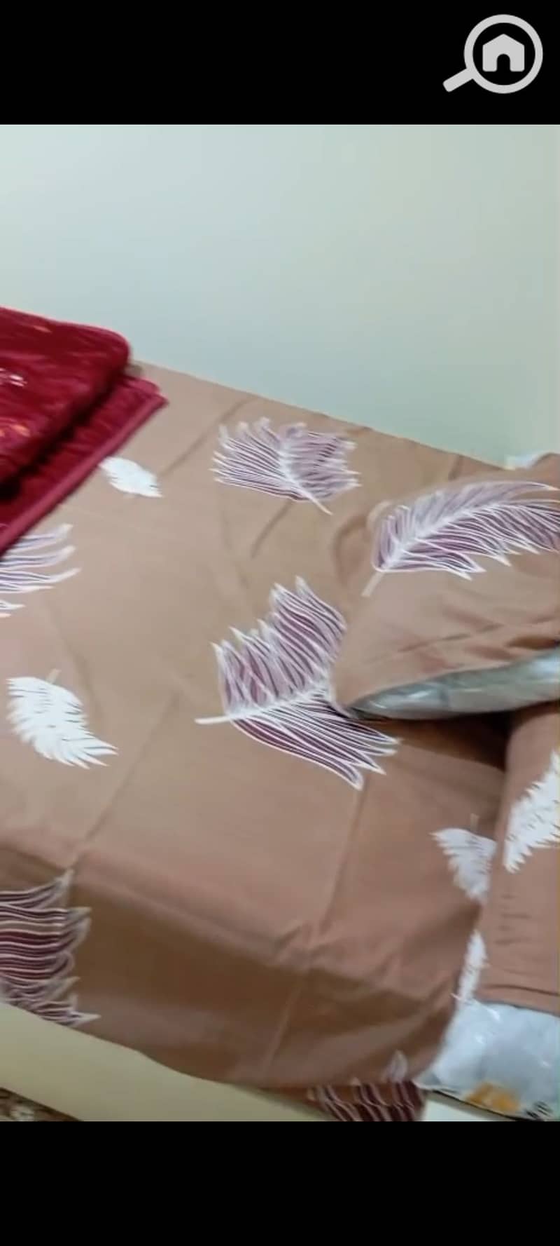 8 1000489467. jpg