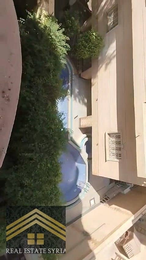 4 1000546947. jpg