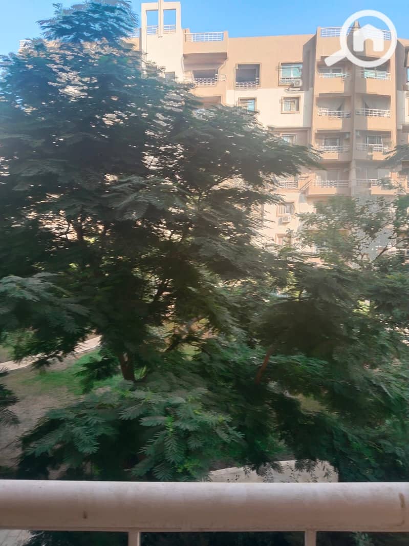 5 1000592940. jpg