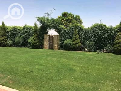 6 Bedroom Villa for Rent in Madinaty, Cairo - WhatsApp Image 2026-08-30 at 5.48. 01 PM. jpeg