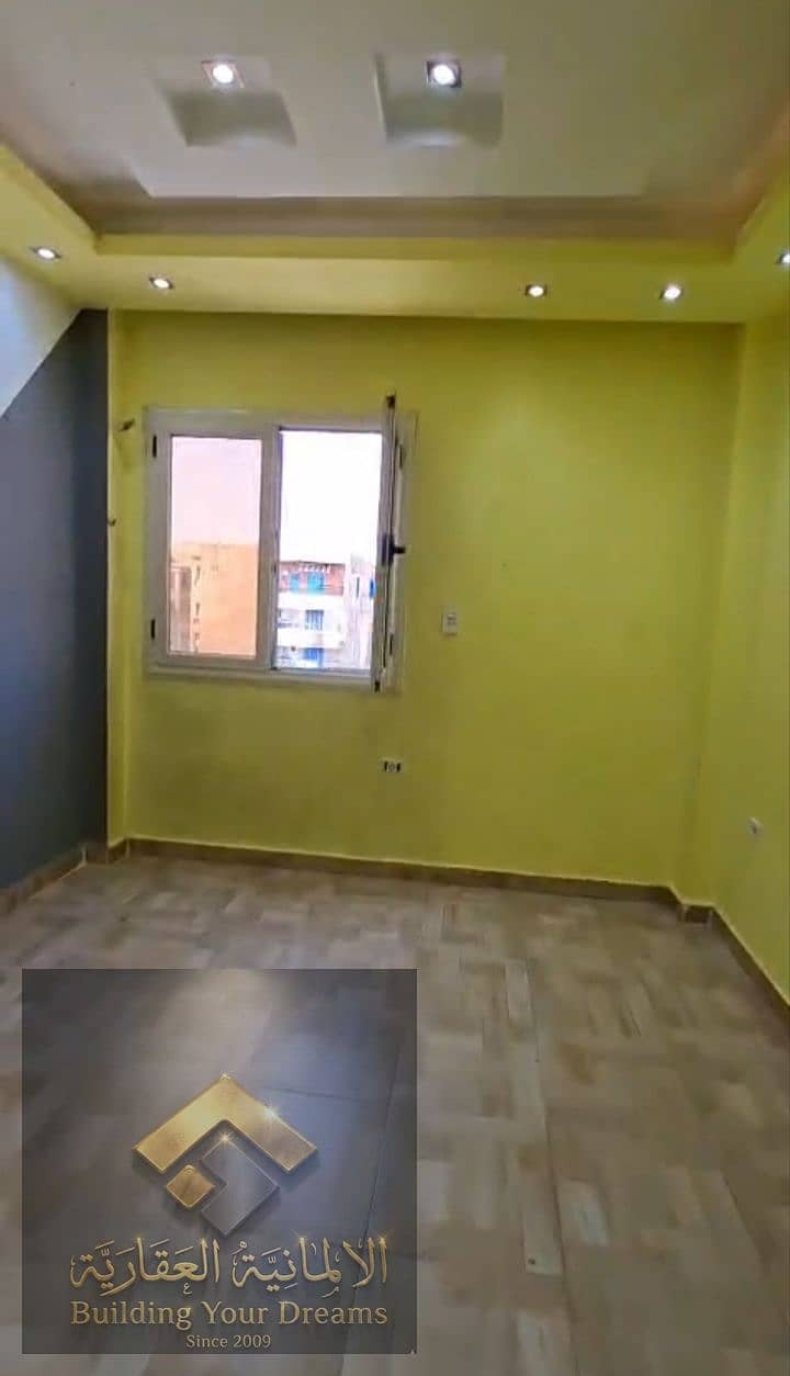 13 1000160490. jpg
