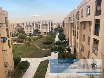 3 Bedroom Apartment for Sale in New Cairo, Cairo - WhatsApp Image 2026-08-27 at 3.25. 56 PM. jpeg