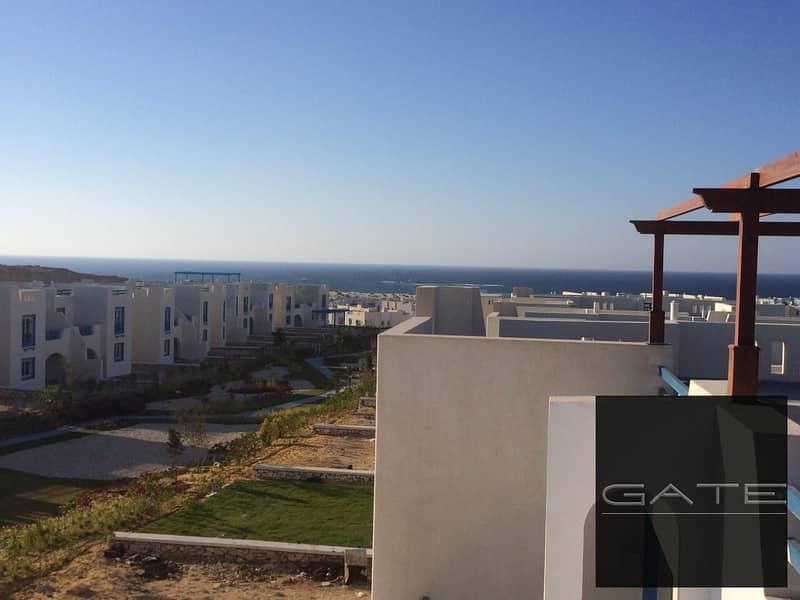 6 penthouse greek 2. jpeg