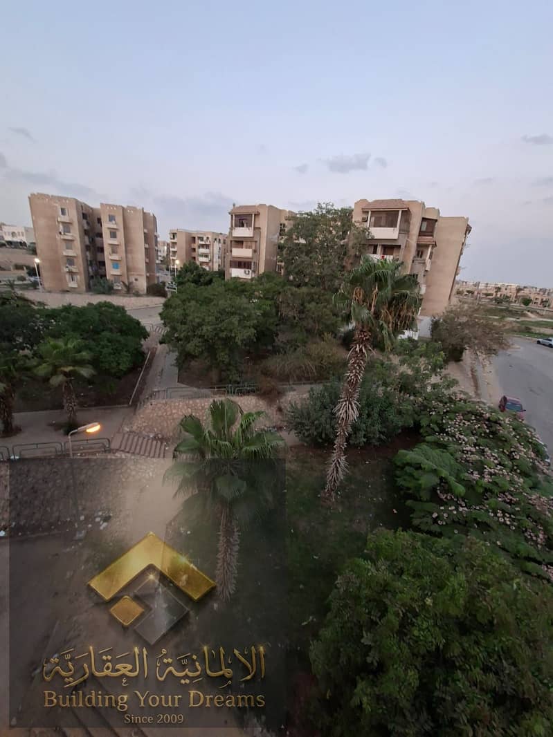 3 443462. jpg