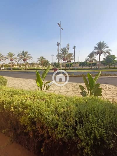 شقة 3 غرف نوم للايجار في مدينتي، القاهرة - WhatsApp Image 2026-08-30 at 6.16. 50 PM (2). jpeg