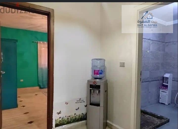 7 146515. jpg