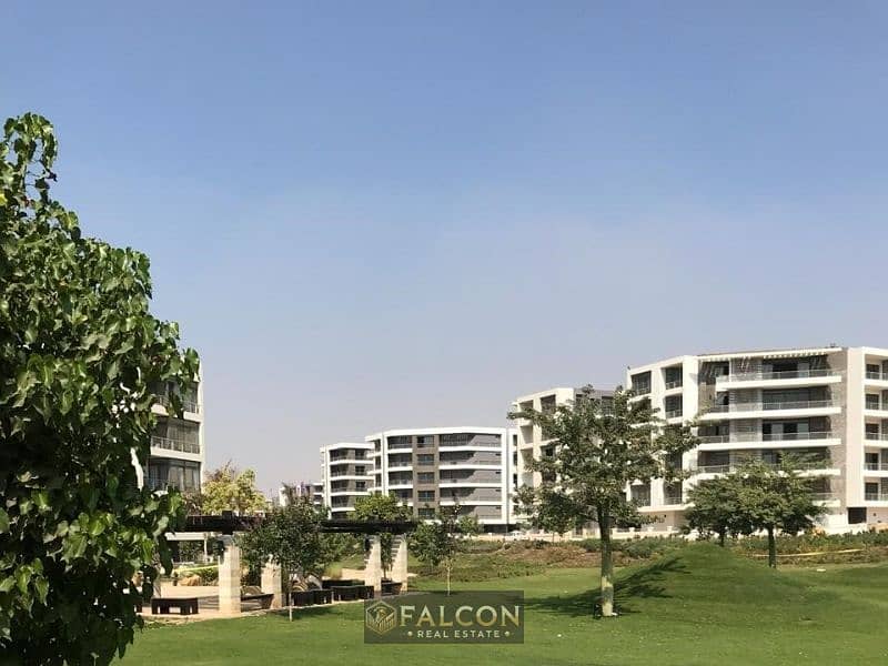 5 328678572_9008037399213912_3211749508308693948_n (1). jpg