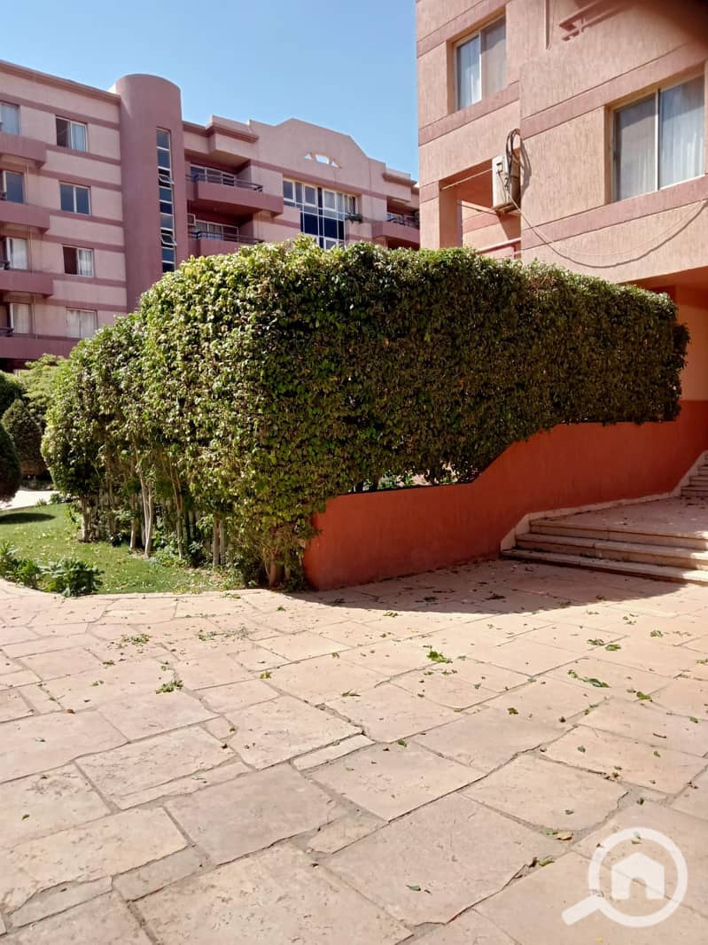 4 25765. jpg