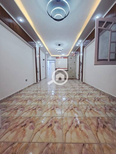 2 Bedroom Apartment for Sale in Nakheel, Alexandria - 116f7c6b-2108-4d04-90c9-7b5d85ebf657. jpg