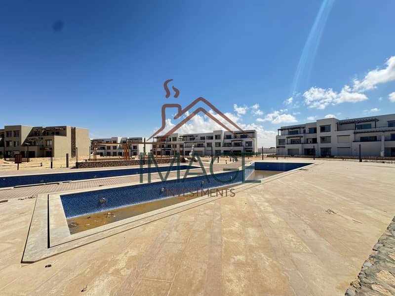 3 67175. jpg