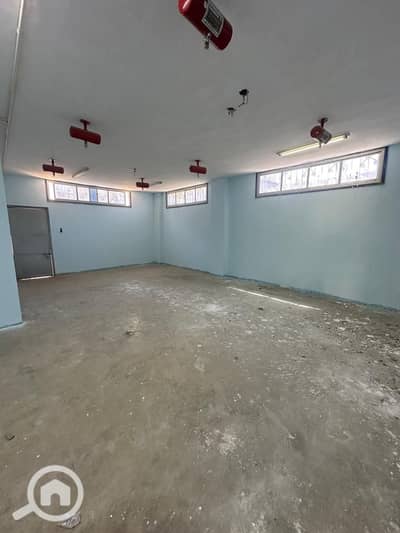 Factory for Rent in Badr City, Cairo - 521258. jpg