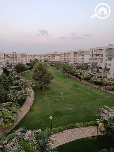 4 Bedroom Flat for Rent in Madinaty, Cairo - WhatsApp Image 2026-08-31 at 11.04. 06 AM. jpeg