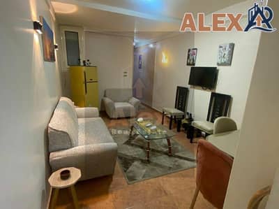 شقة 1 غرفة نوم للايجار في رشدي، الإسكندرية - WhatsApp Image 2026-08-31 at 12.32. 28 PM (1). jpeg شقة 1 غرفة نوم للايجار في رشدي، الإسكندرية - WhatsApp Image 2026-08-31 at 12.32. 28 PM (1). jpeg