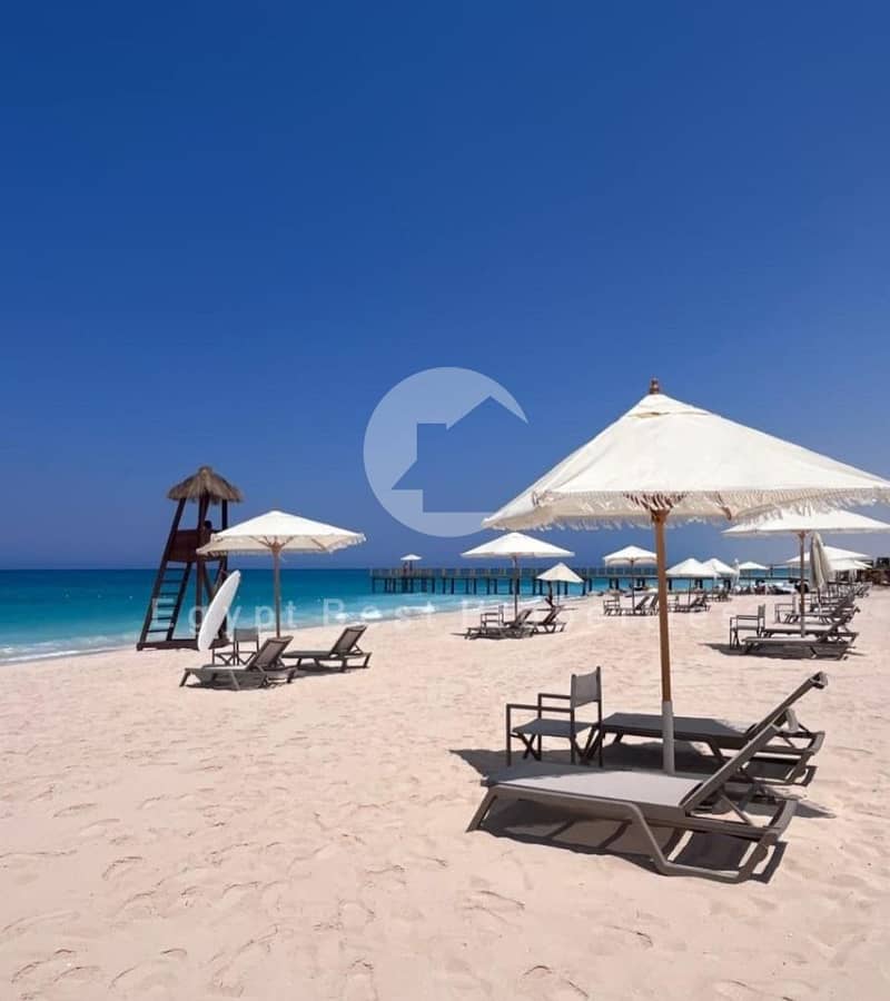 24 Masyaf Live Photo Album 2025_Page3_Image1. jpg