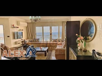 2 Bedroom Apartment for Rent in Glim, Alexandria - WhatsApp Image 2026-08-31 at 12.58. 16 PM (7). jpeg 2 Bedroom Apartment for Rent in Glim, Alexandria - WhatsApp Image 2026-08-31 at 12.58. 16 PM (7). jpeg