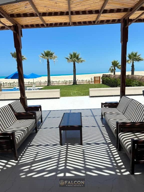 3 568189071. jpg