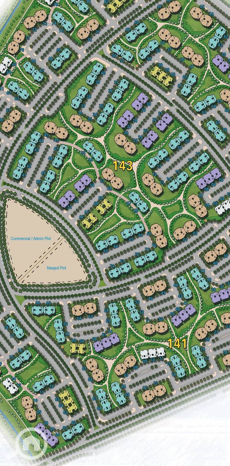 3 1000737334. jpg