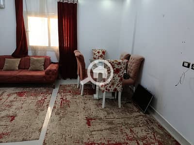 2 Bedroom Apartment for Rent in New Cairo, Cairo - WhatsApp Image 2026-08-31 at 1.42. 34 PM. jpeg 2 Bedroom Apartment for Rent in New Cairo, Cairo - WhatsApp Image 2026-08-31 at 1.42. 34 PM. jpeg