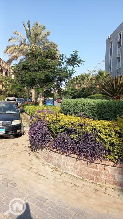 فلیٹ 3 غرف نوم للايجار في القاهرة الجديدة، القاهرة - 1000918298. jpg فلیٹ 3 غرف نوم للايجار في القاهرة الجديدة، القاهرة - 1000918298. jpg