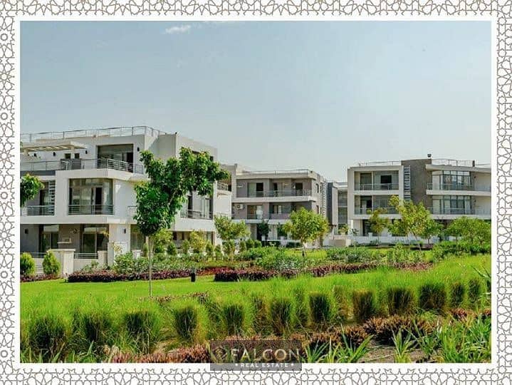 7 57649025_167953770868922_8011186232740544512_n. jpg