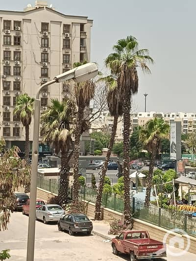 فلیٹ 3 غرف نوم للبيع في المقطم، القاهرة - 490. jpg فلیٹ 3 غرف نوم للبيع في المقطم، القاهرة - 490. jpg