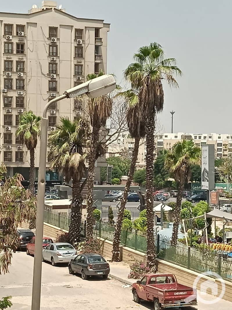 6 490. jpg