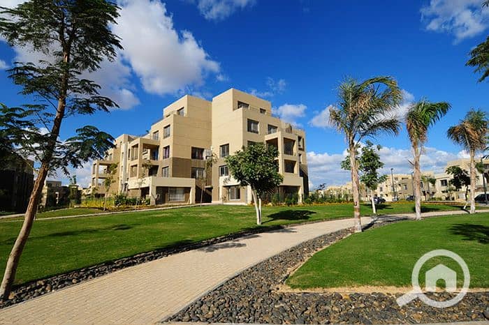 7 Palm-Parks-Palm-Hills. jpg