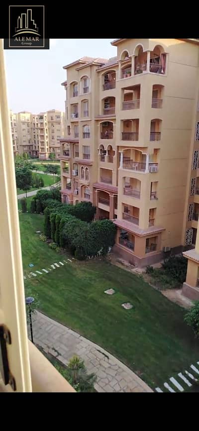 2 Bedroom Flat for Rent in Madinaty, Cairo - 1000543063. jpg 2 Bedroom Flat for Rent in Madinaty, Cairo - 1000543063. jpg