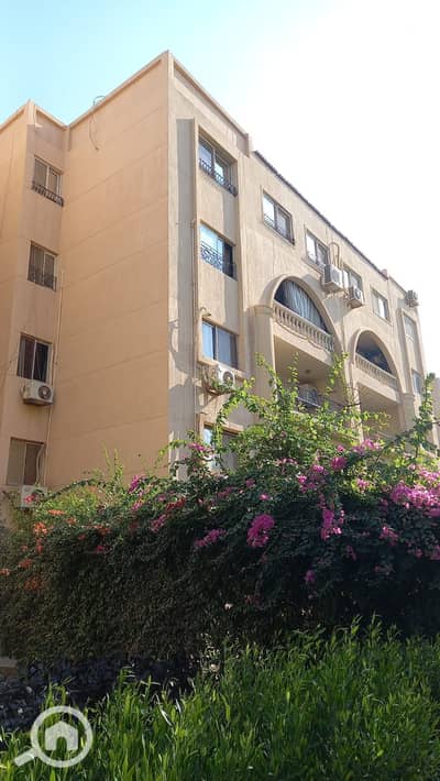 3 Bedroom Apartment for Rent in New Cairo, Cairo - 1000918297. jpg