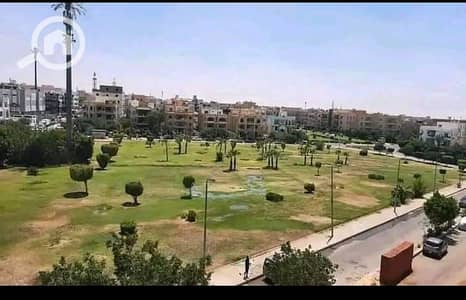 3 Bedroom Flat for Rent in New Cairo, Cairo - WhatsApp Image 2026-08-31 at 4.31. 57 AM (2). jpeg 3 Bedroom Flat for Rent in New Cairo, Cairo - WhatsApp Image 2026-08-31 at 4.31. 57 AM (2). jpeg