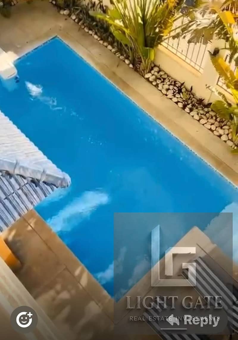 7 256565. jpg