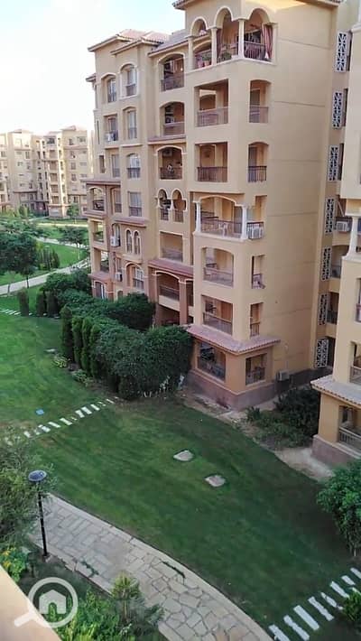 2 Bedroom Apartment for Rent in Madinaty, Cairo - 1000926274. jpg 2 Bedroom Apartment for Rent in Madinaty, Cairo - 1000926274. jpg