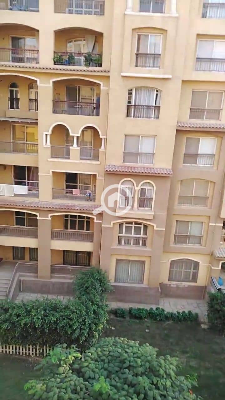 8 1000926273. jpg