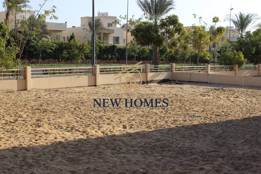 10 IMG_2982. jpg