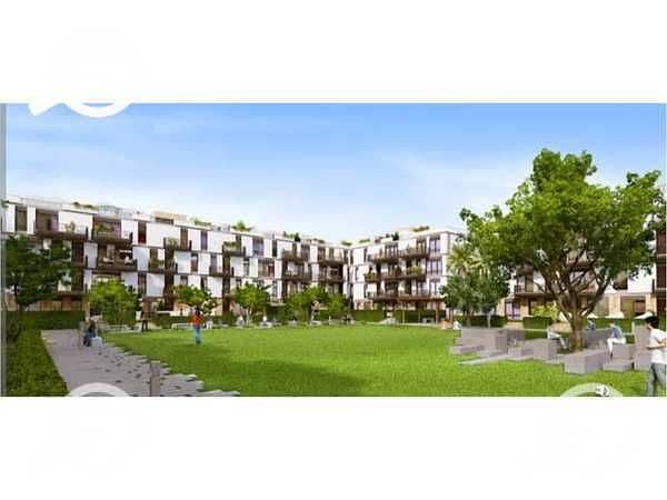 11 m2L1u65CoSnEjVlqDyhqEYeb5R2y7H4x48zluz4f. jpg