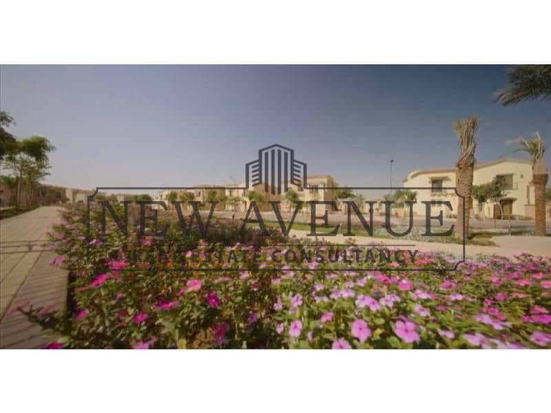 6 original (4). jpg