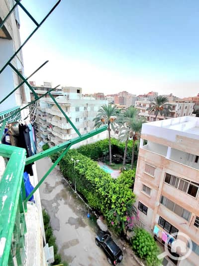 فلیٹ 3 غرف نوم للبيع في النخيل، الإسكندرية - 1001065676. jpg فلیٹ 3 غرف نوم للبيع في النخيل، الإسكندرية - 1001065676. jpg