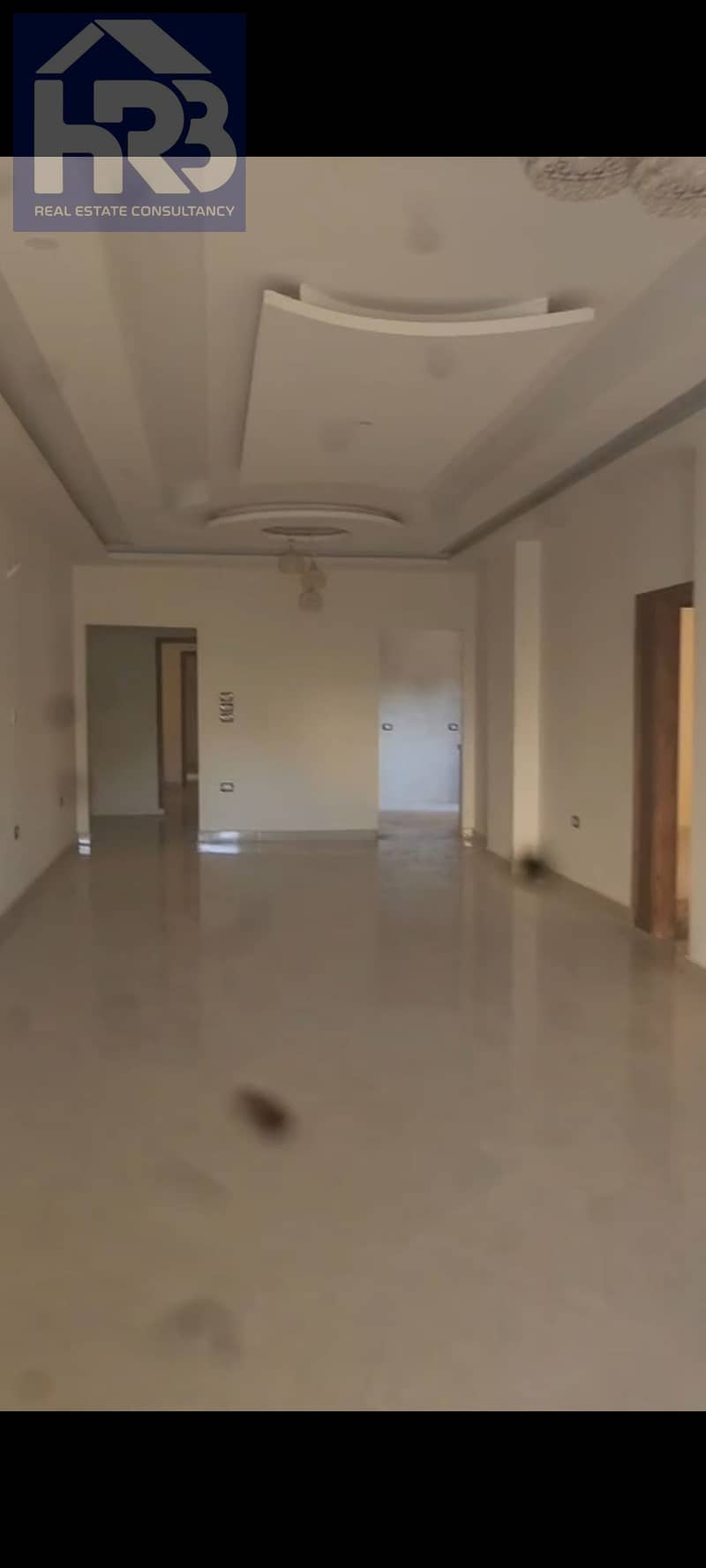 6 96481. png