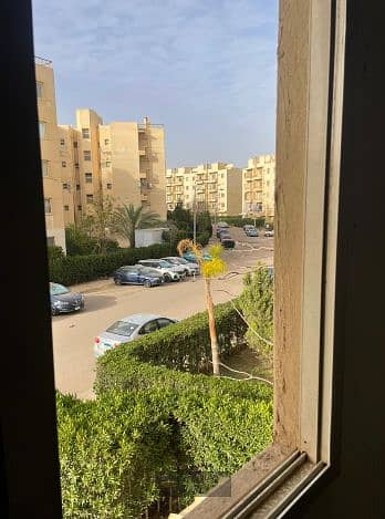 6 بشل. png