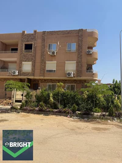 3 Bedroom Apartment for Sale in New Cairo, Cairo - 1000273116. jpg 3 Bedroom Apartment for Sale in New Cairo, Cairo - 1000273116. jpg
