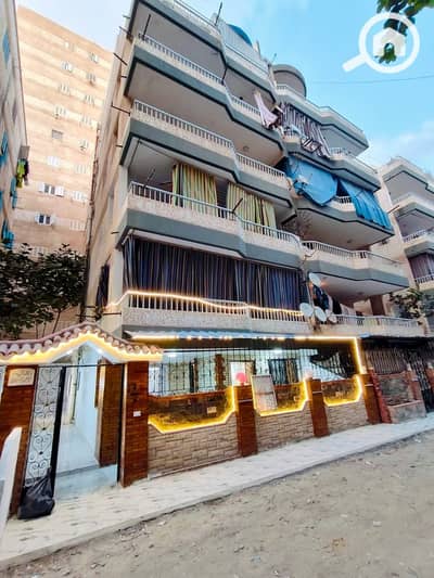 فلیٹ 2 غرفة نوم للبيع في النخيل، الإسكندرية - 1000482088. jpg
