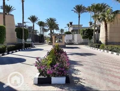 5 Bedroom Villa for Sale in King Mariout, Alexandria - IMG-20250501-WA0052. jpg