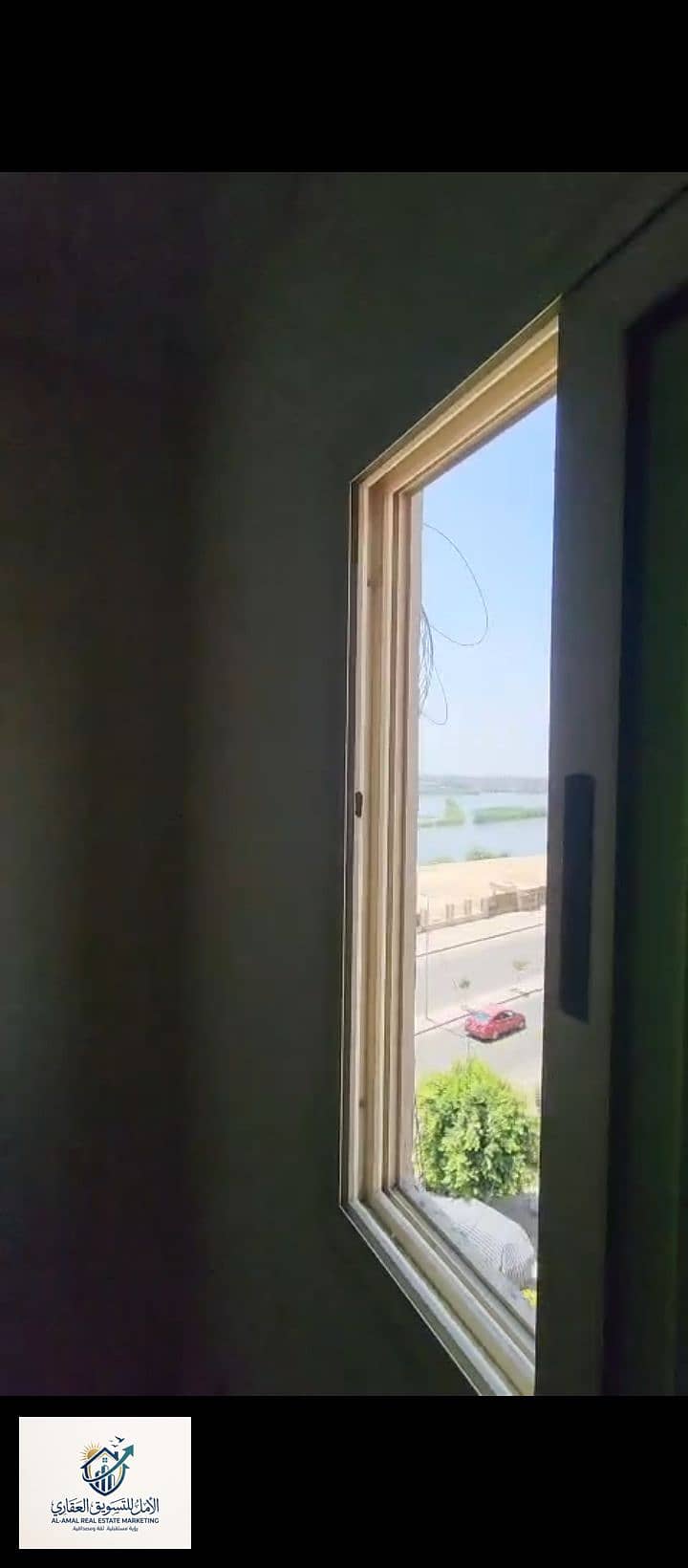 5 1000266944. jpg