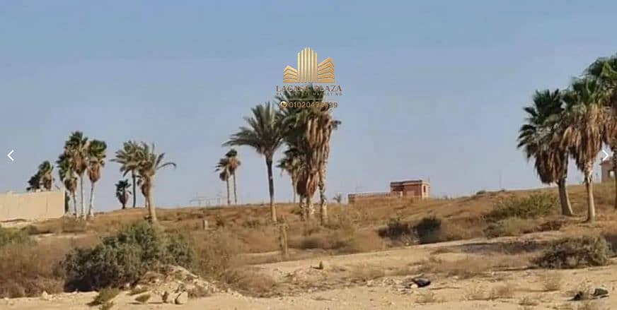 9 14. JPG