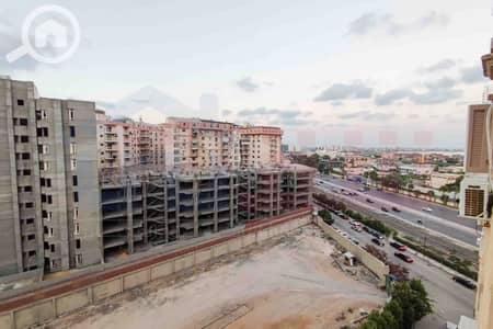 3 Bedroom Flat for Sale in Smoha, Alexandria - WhatsApp Image 2026-08-30 at 13.51. 53. jpg 3 Bedroom Flat for Sale in Smoha, Alexandria - WhatsApp Image 2026-08-30 at 13.51. 53. jpg