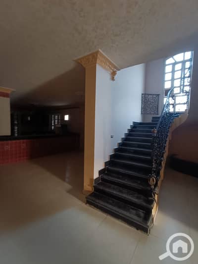 6 Bedroom Villa for Rent in Shorouk City, Cairo - 1000541209. jpg
