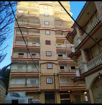 شقة 1 غرفة نوم للبيع في عجمي، الإسكندرية - شقة مصيفية للبيع متشطبة بحي الصفا بالإسكندرية شقة 1 غرفة نوم للبيع في عجمي، الإسكندرية - شقة مصيفية للبيع متشطبة بحي الصفا بالإسكندرية